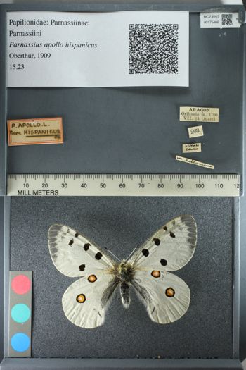 Media type: image;   Entomology 175466